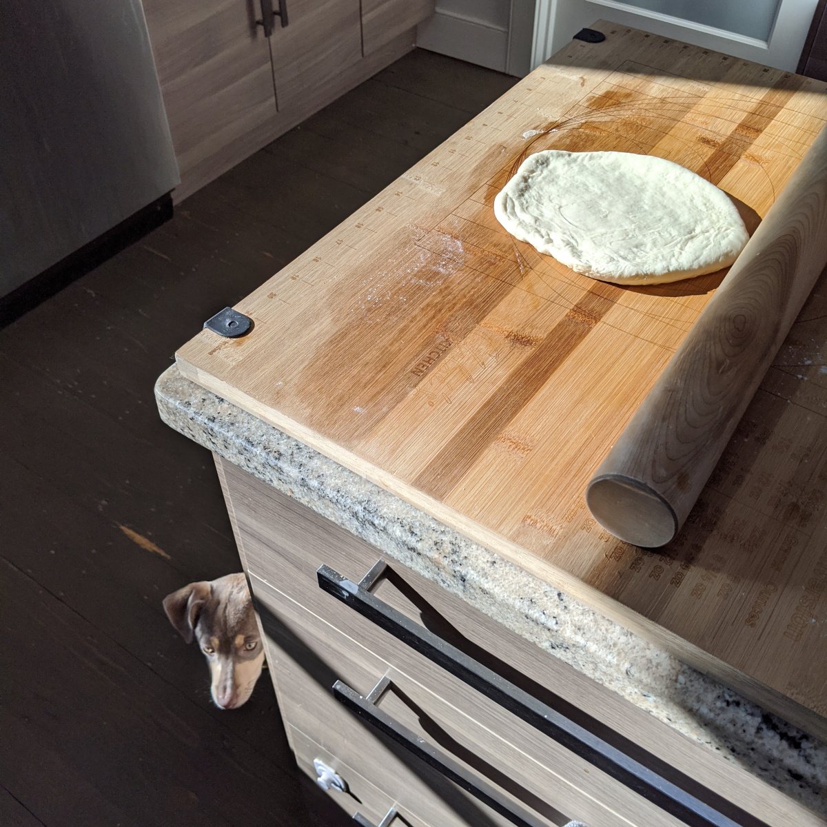naan dough resting