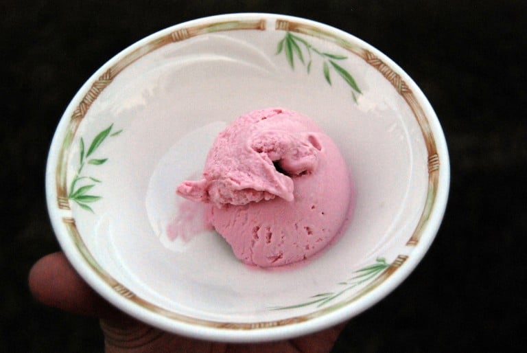 Frozen Yogurt